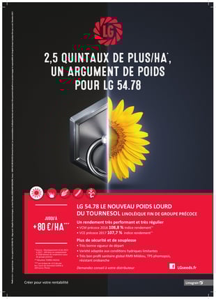 LG tournesol Poids A4 HD-1