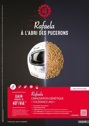 LG_A4_Rafaela_BD-1