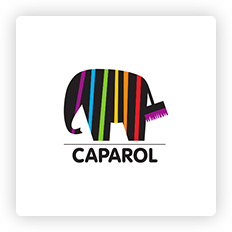 Format-logo-cap