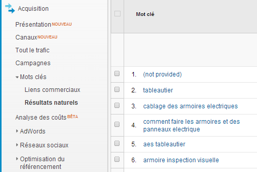 C'est quoi le Not Provided dans Google Analytics ?