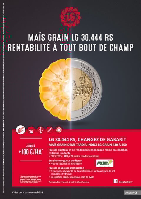 LG-Mais-euro-A4-BD.jpg