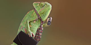 marketing-cameleon.jpg marketing-cameleon.jpg