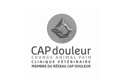 cap-douleur