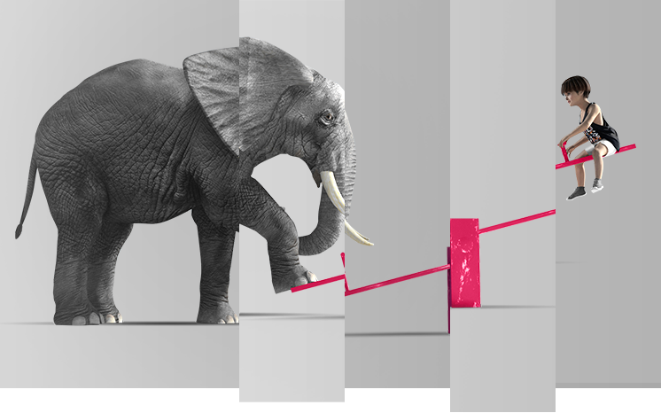 Preferendum visuel page clients